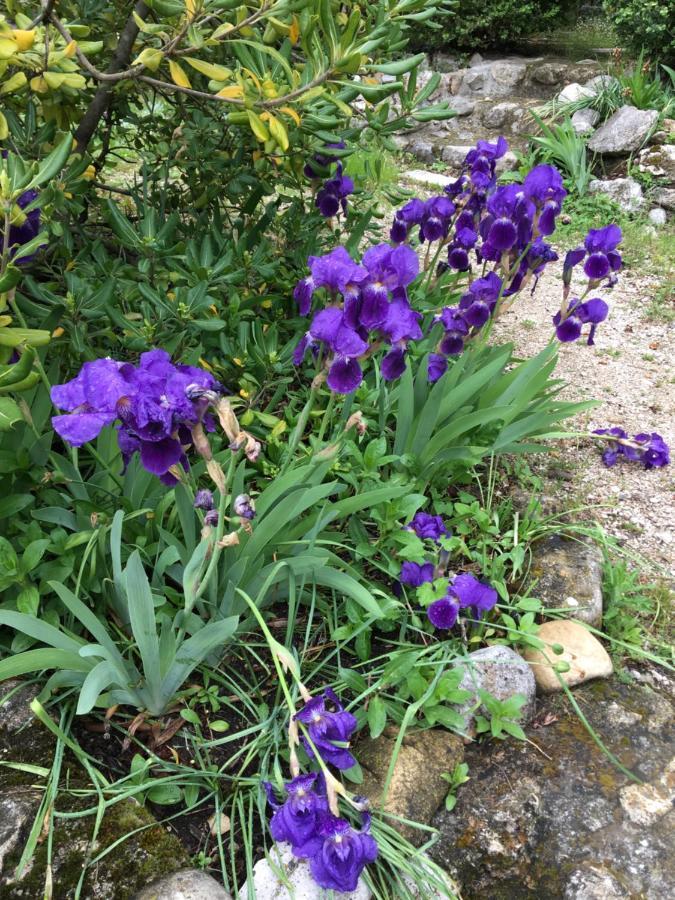 Clos Des Iris Hotel Moustiers-Sainte-Marie
