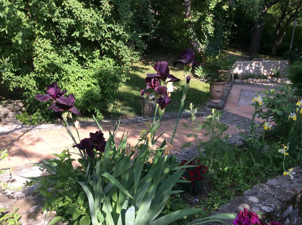 Clos Des Iris Hotel 2*